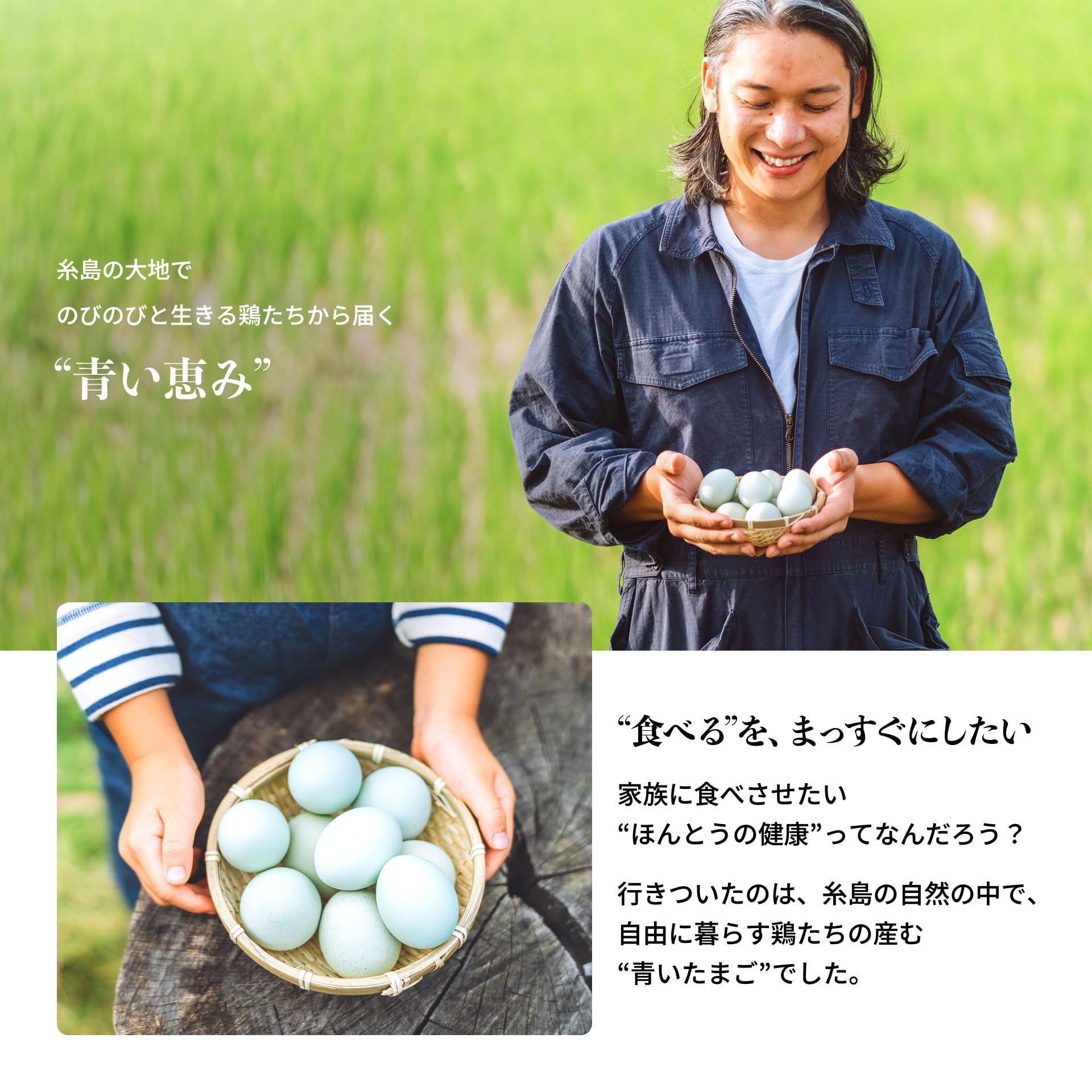 Amazon | Itoshima Blue (イトシマブルー) 青いたまご アローカナ種
